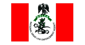 NDLEA Recruitment Portal