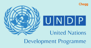 UNDP Undergraduate Essay Writing Competition